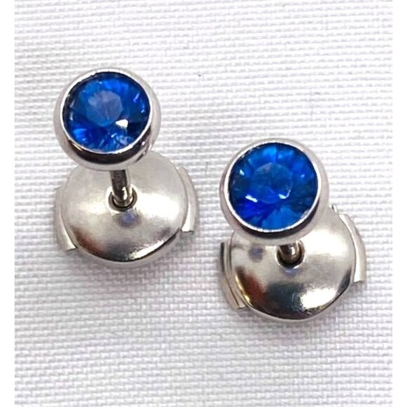 Tiffany & Co Elsa Peretti Platinum  Color By The Yard Earrings Sapphire 1CT - Picture 1 of 10